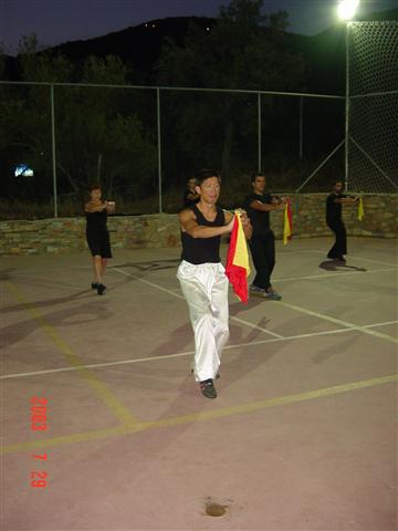 Triple Harmony Kung Fu Association Τάκης Δήμας Αντώνης Γιαννουλης Θανασης Γκικας