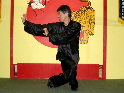 Triple Harmony Kung Fu Association Τάκης Δήμας Αντώνης Γιαννουλης Θανασης Γκικας