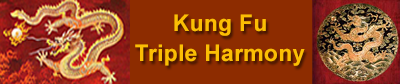 Triple Harmony Kung Fu Association Τάκης Δήμας Αντώνης Γιαννουλης Θανασης Γκικας